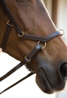 Rambo Micklem MultiBridle