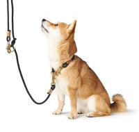 Hundehalsband Oss