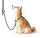 Hundehalsband Oss