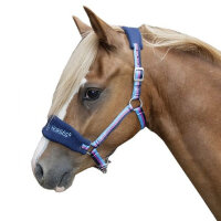 Shettyhalfter -Funny Horses-
