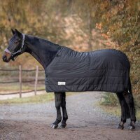 Thermo Unterdecke