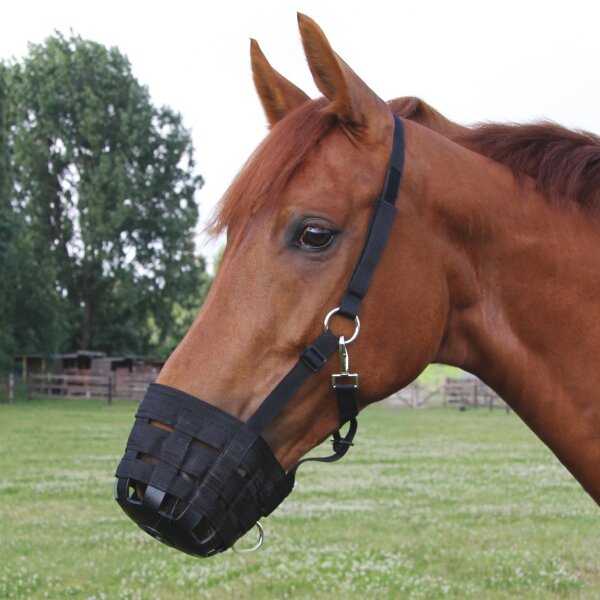 Weide-Maulkorb