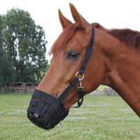Weide-Maulkorb
