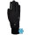 Winterhandschuh Wellington GTX