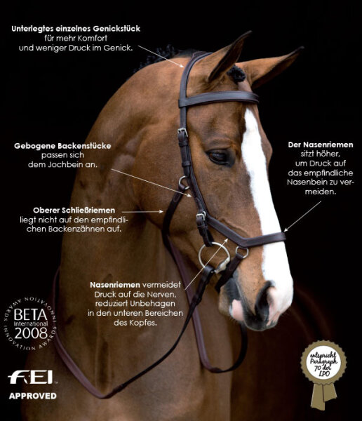 Micklem Competition Bridle