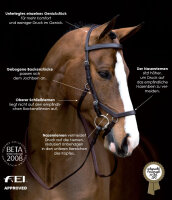 Micklem Competition Bridle