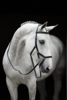 Micklem Competition Bridle
