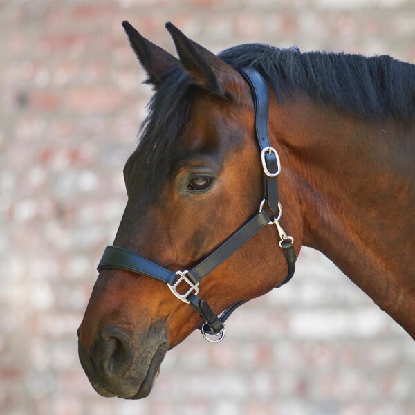 Lederhalfter X-Line Anatomic