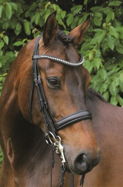 Kandare Wiesbaden