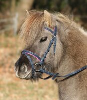Trensenzaum UNICORN 2