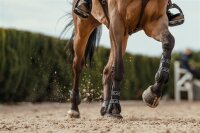 Veredus Carbon-Gel Vento - Vorn