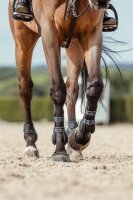 Veredus Carbon-Gel Vento - Vorn