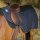 Riding World Nierendecke
