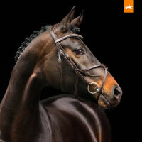 Anatomische Trense Rio Select