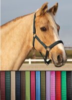 Euroriding Halfter Basic