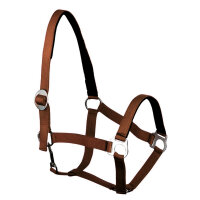 Euroriding Halfter Basic