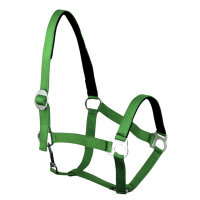 Euroriding Halfter Basic