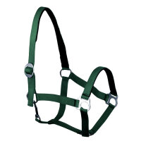 Euroriding Halfter Basic