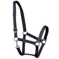 Euroriding Halfter Basic