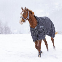 Decke Riding World Oxford