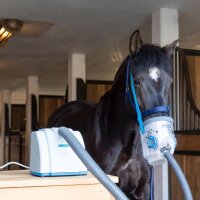 hippomed AirOne Ultraschall-Inhalator