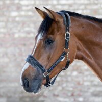 Halfter Elegant