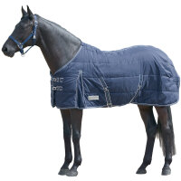 Stalldecke Economic