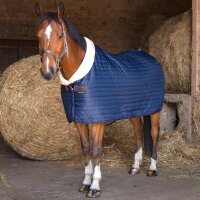 Stalldecke Teddy