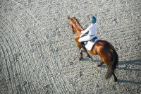 Winderen Sattelpad COMFORT