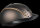 CASCO-Mistrall 2