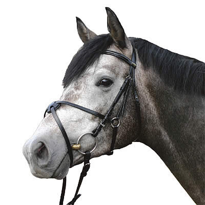 Trense Cambridge British Line