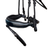 Anatomische Trense Malibu Lack