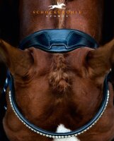 Anatomische Trense Malibu Lack