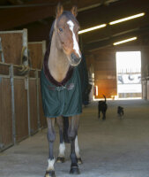 Abschwitzdecke Teddy