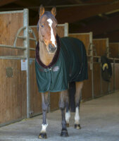 EKKIA Abschwitzdecke Teddy