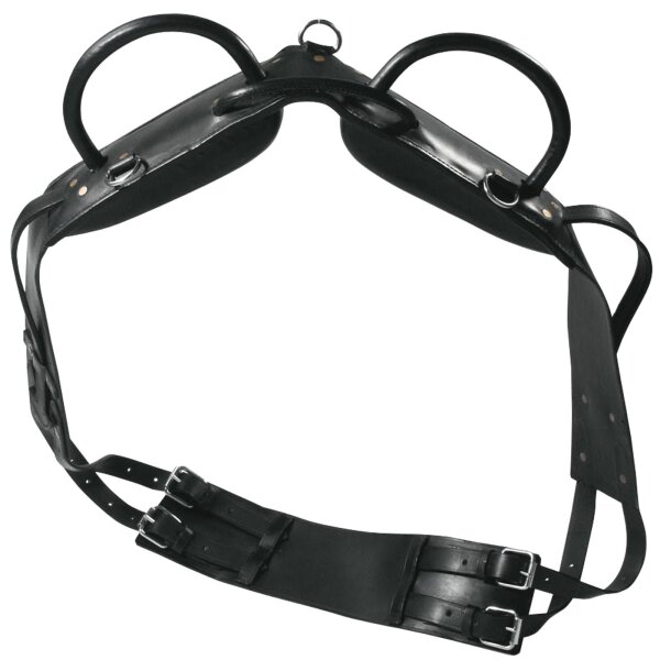 Longier- und Voltigiergurt