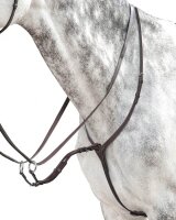EVO-Martingal D37