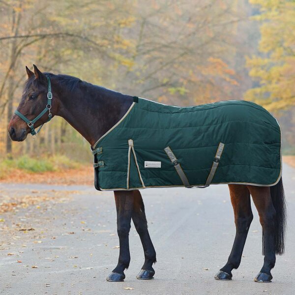Stalldecke Economic