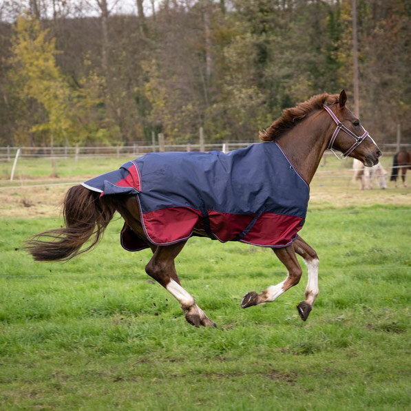 EQUI-THEME Tyrex 1200 D Decke
