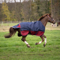 EQUI-THEME Tyrex 1200 D Decke