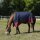 EQUI-THEME Tyrex 1200 D Decke