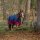 EQUI-THEME Tyrex 1200 D Decke