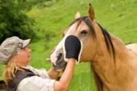 Putzhandschuh Lammfell einseit