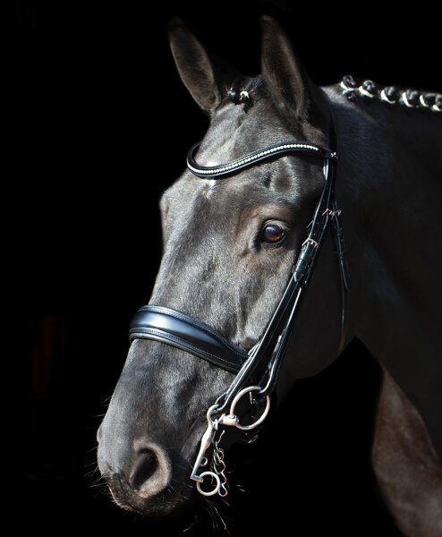 Anatomische Kandare Milan