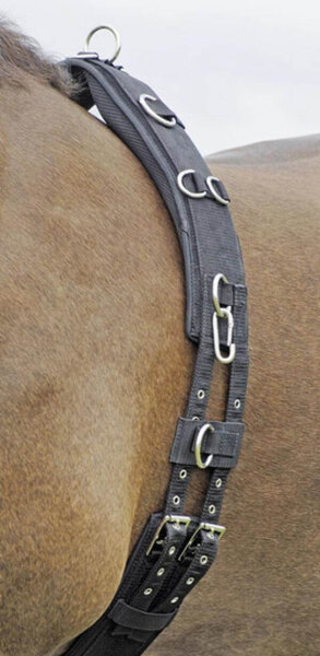 Longiergurt Profi-Soft