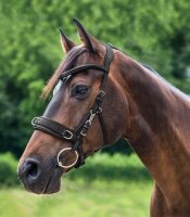 Waldhausen Lederkappzaum anatomic