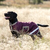 Amigo Dog Rug Ripstop
