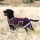 Amigo Dog Rug Ripstop