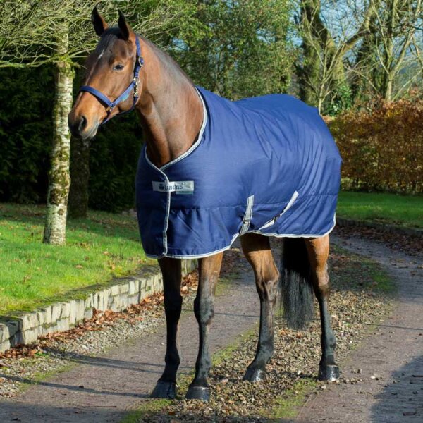 Stalldecke Freedom