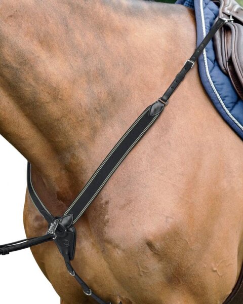 PRESTIGE Jump-Spezial D41